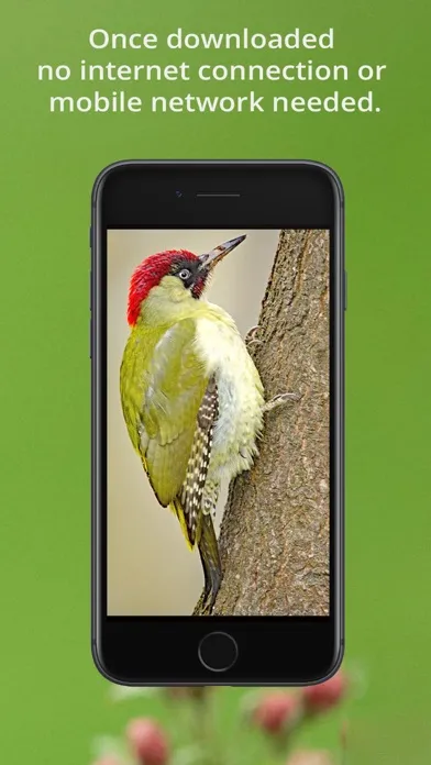 Bird Song Id UK Screenshots